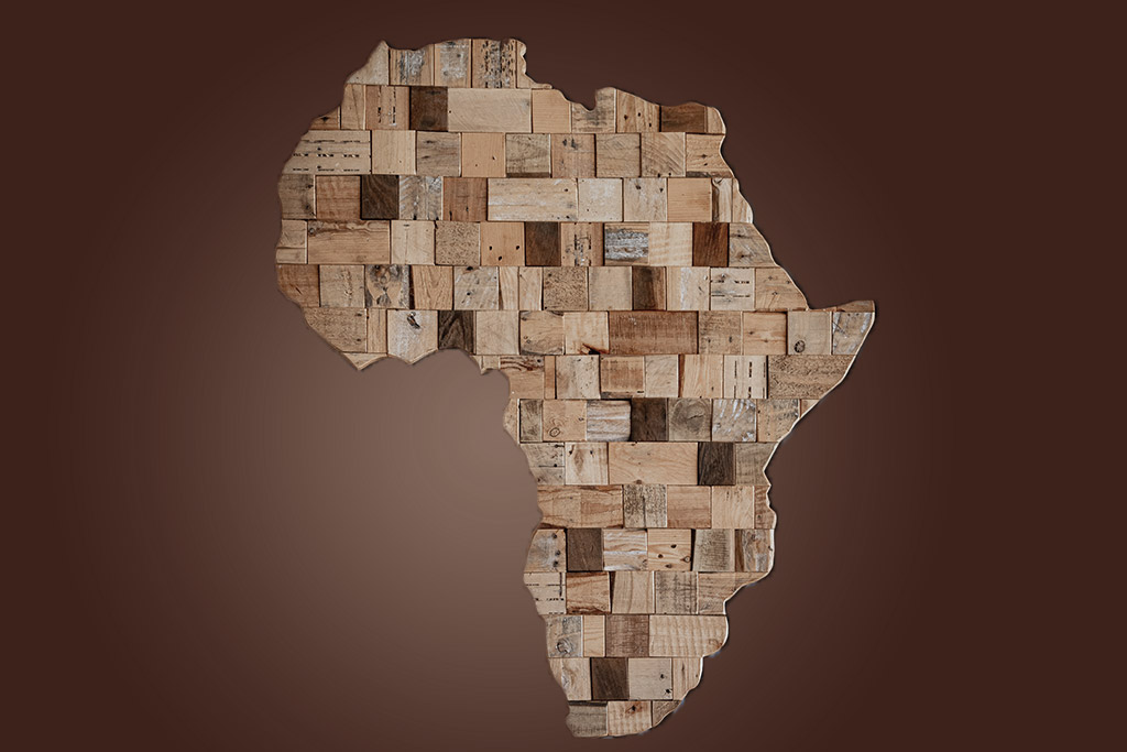 Décolonisation de l'Afrique & de l'Asie - Cas du Gabon